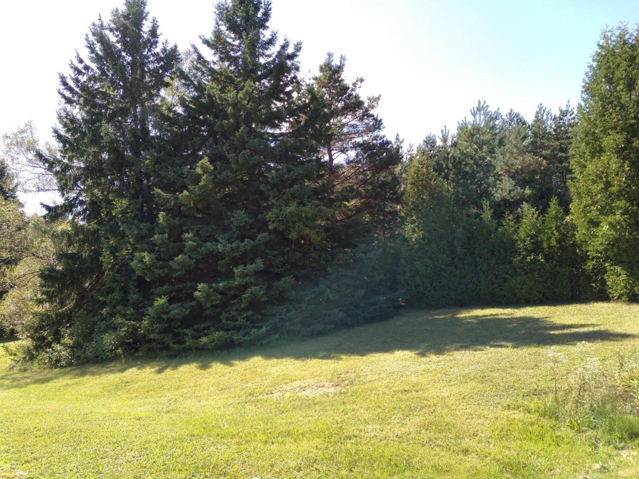 Auberge Pique Nique Shawinigan Kültér fotó